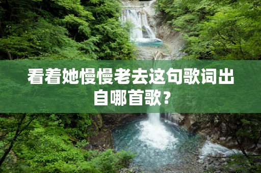 看着她慢慢老去这句歌词出自哪首歌？