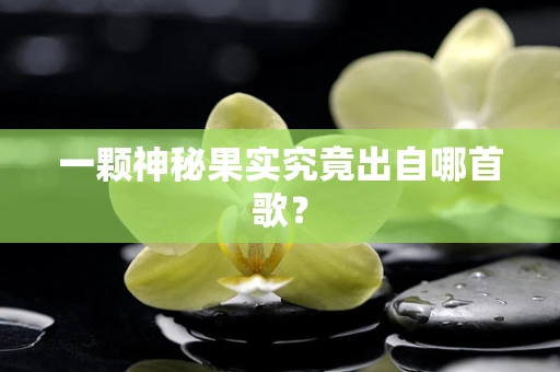 一颗神秘果实究竟出自哪首歌？