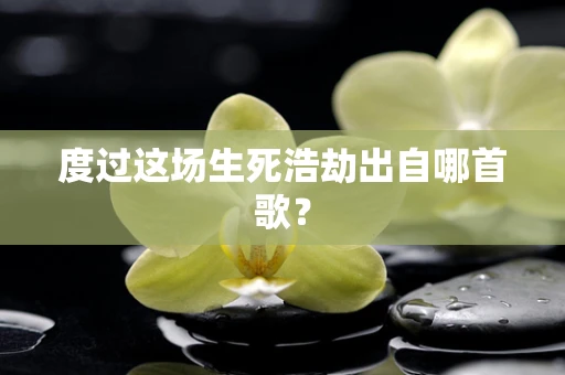 度过这场生死浩劫出自哪首歌？