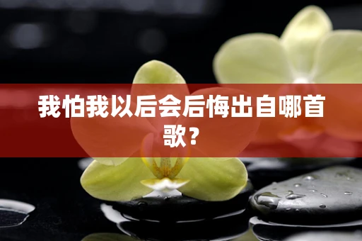 我怕我以后会后悔出自哪首歌？