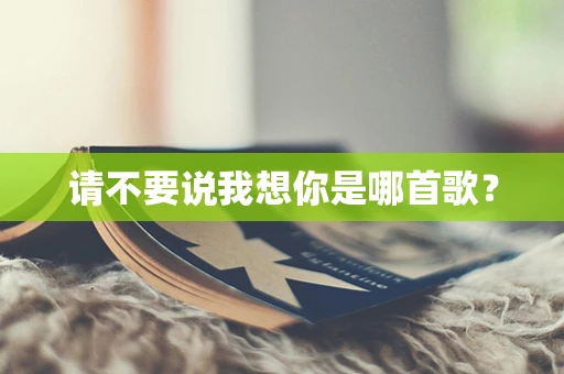 请不要说我想你是哪首歌？