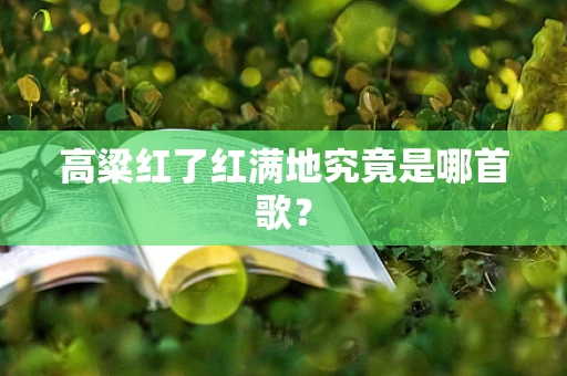 高粱红了红满地究竟是哪首歌？