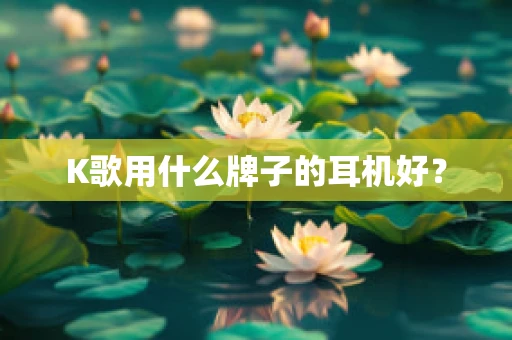 K歌用什么牌子的耳机好？