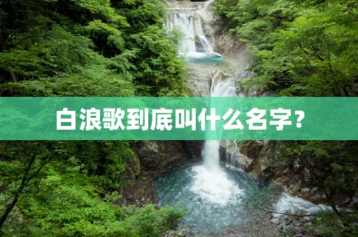 白浪歌到底叫什么名字？