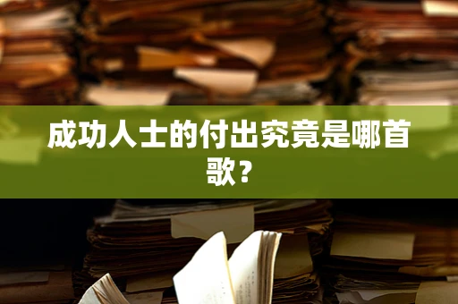 成功人士的付出究竟是哪首歌？