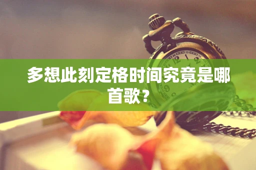 多想此刻定格时间究竟是哪首歌？