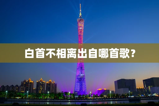 白首不相离出自哪首歌？
