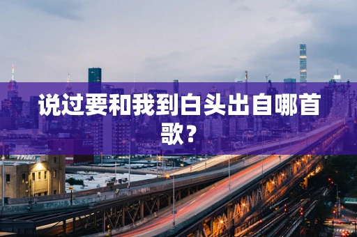 说过要和我到白头出自哪首歌？