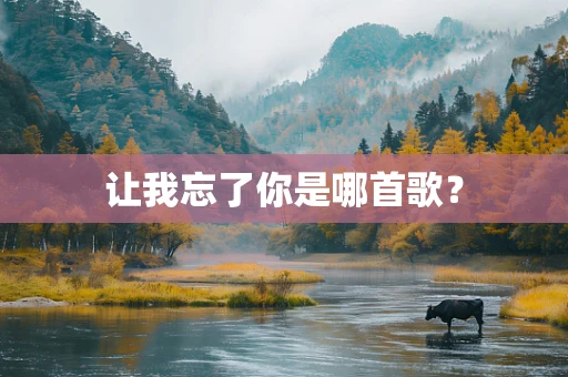 让我忘了你是哪首歌？