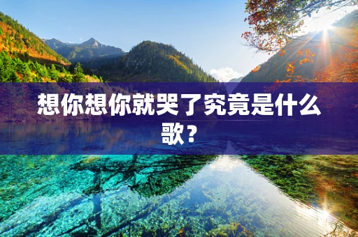 想你想你就哭了究竟是什么歌？
