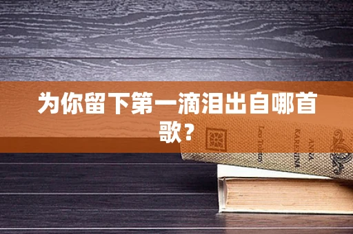 为你留下第一滴泪出自哪首歌？