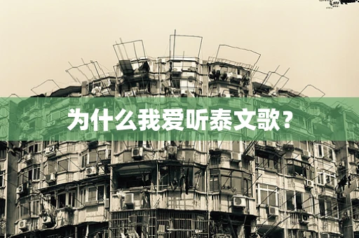 为什么我爱听泰文歌？