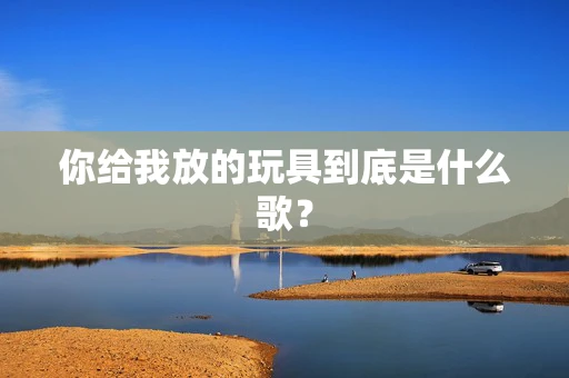 你给我放的玩具到底是什么歌？