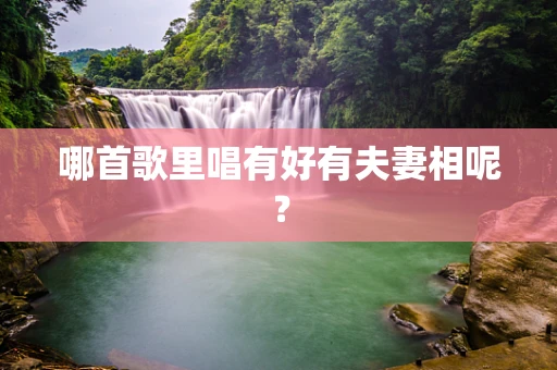 哪首歌里唱有好有夫妻相呢？