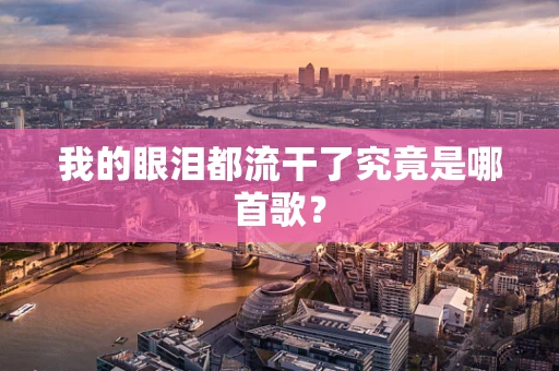 我的眼泪都流干了究竟是哪首歌？