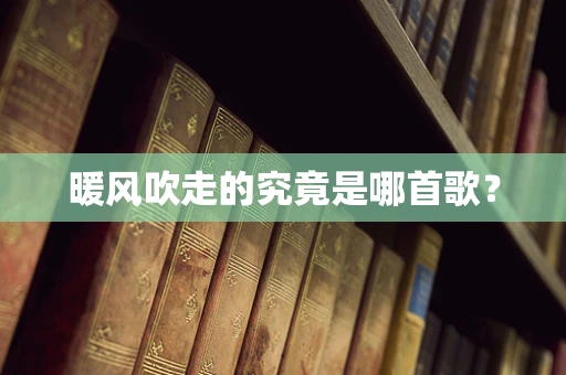 暖风吹走的究竟是哪首歌？