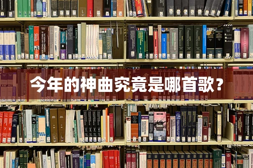今年的神曲究竟是哪首歌？