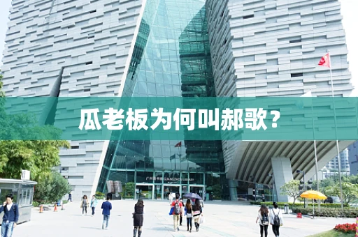 瓜老板为何叫郝歌？