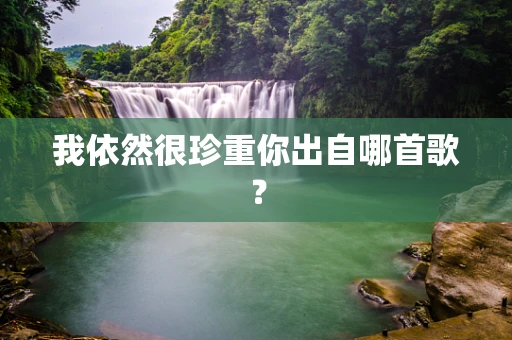 我依然很珍重你出自哪首歌？