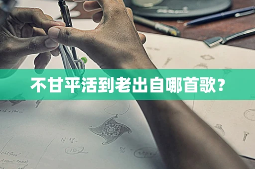 不甘平活到老出自哪首歌？