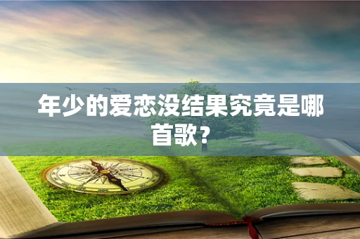 年少的爱恋没结果究竟是哪首歌？