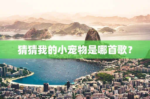 猜猜我的小宠物是哪首歌？