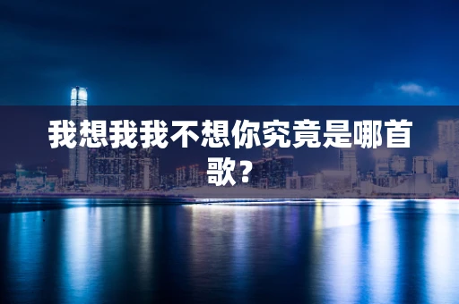 我想我我不想你究竟是哪首歌？
