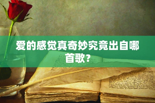 爱的感觉真奇妙究竟出自哪首歌？