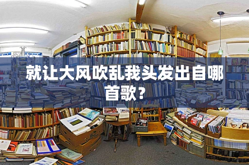 就让大风吹乱我头发出自哪首歌？