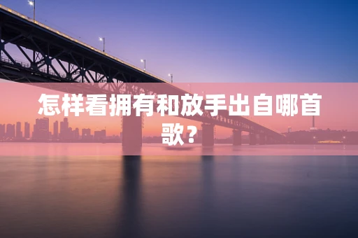 怎样看拥有和放手出自哪首歌？