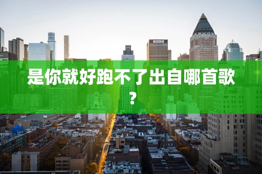 是你就好跑不了出自哪首歌？