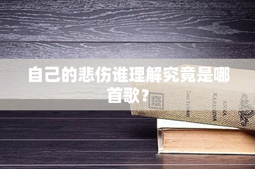 自己的悲伤谁理解究竟是哪首歌？