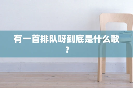 有一首排队呀到底是什么歌？