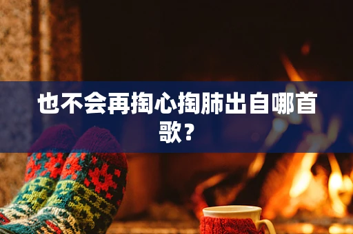 也不会再掏心掏肺出自哪首歌？