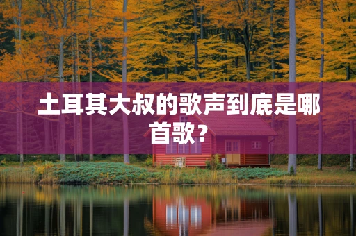 土耳其大叔的歌声到底是哪首歌？