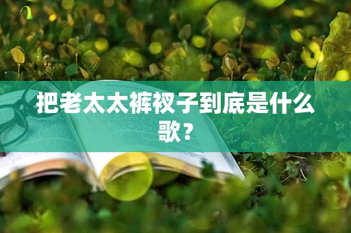 把老太太裤衩子到底是什么歌？