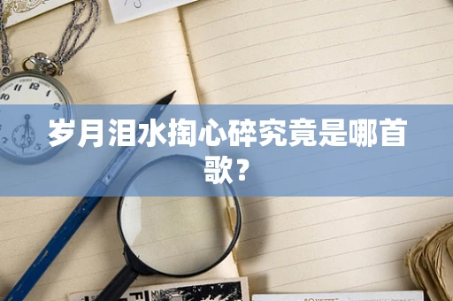 岁月泪水掏心碎究竟是哪首歌？