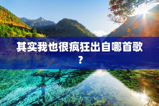 其实我也很疯狂出自哪首歌？
