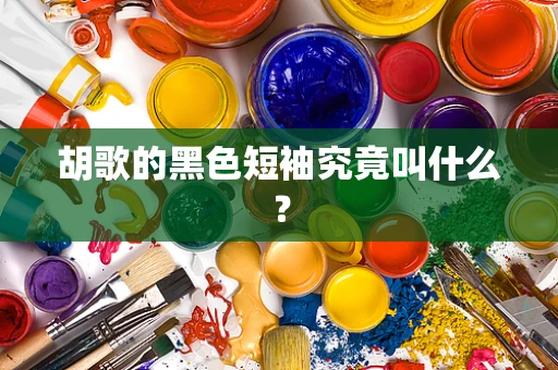 胡歌的黑色短袖究竟叫什么？