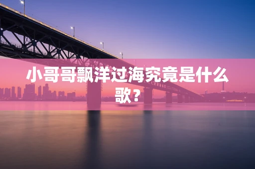 小哥哥飘洋过海究竟是什么歌？