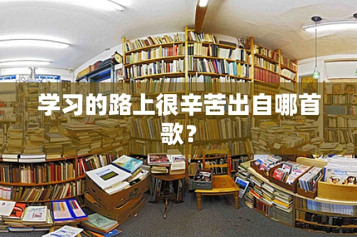学习的路上很辛苦出自哪首歌？