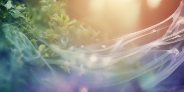 能带给心灵慰藉的歌究竟是什么样的？