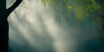 温柔的侵略感究竟是哪首歌？