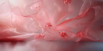 懂不懂爱是哪首歌？