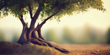 越执着伤的越深究竟是哪首歌？