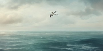 天涯海角任你飞翔究竟出自哪首歌？