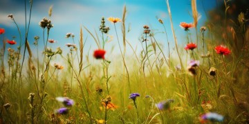 致敬火焰蓝的青春究竟是哪首歌？