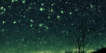 一咋一咋的星星到底是哪首歌？