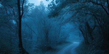 夜凉渐冷这句歌词出自哪首歌？