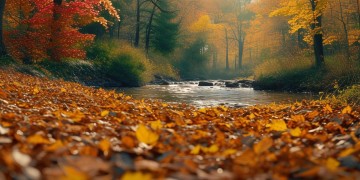 春去秋来苦苦追寻究竟是哪首歌？